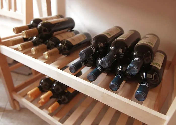 拉提斯博纳公寓 公寓 雷根斯堡